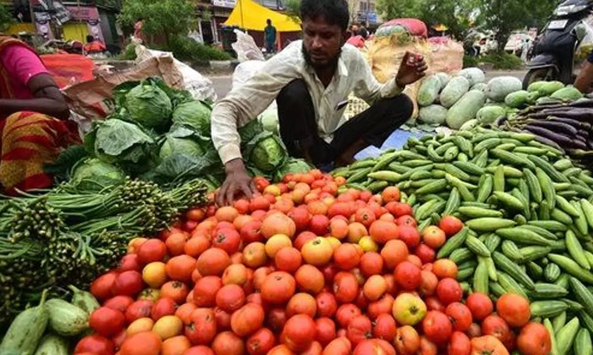 Wider range of food items drive 7% plus inflation