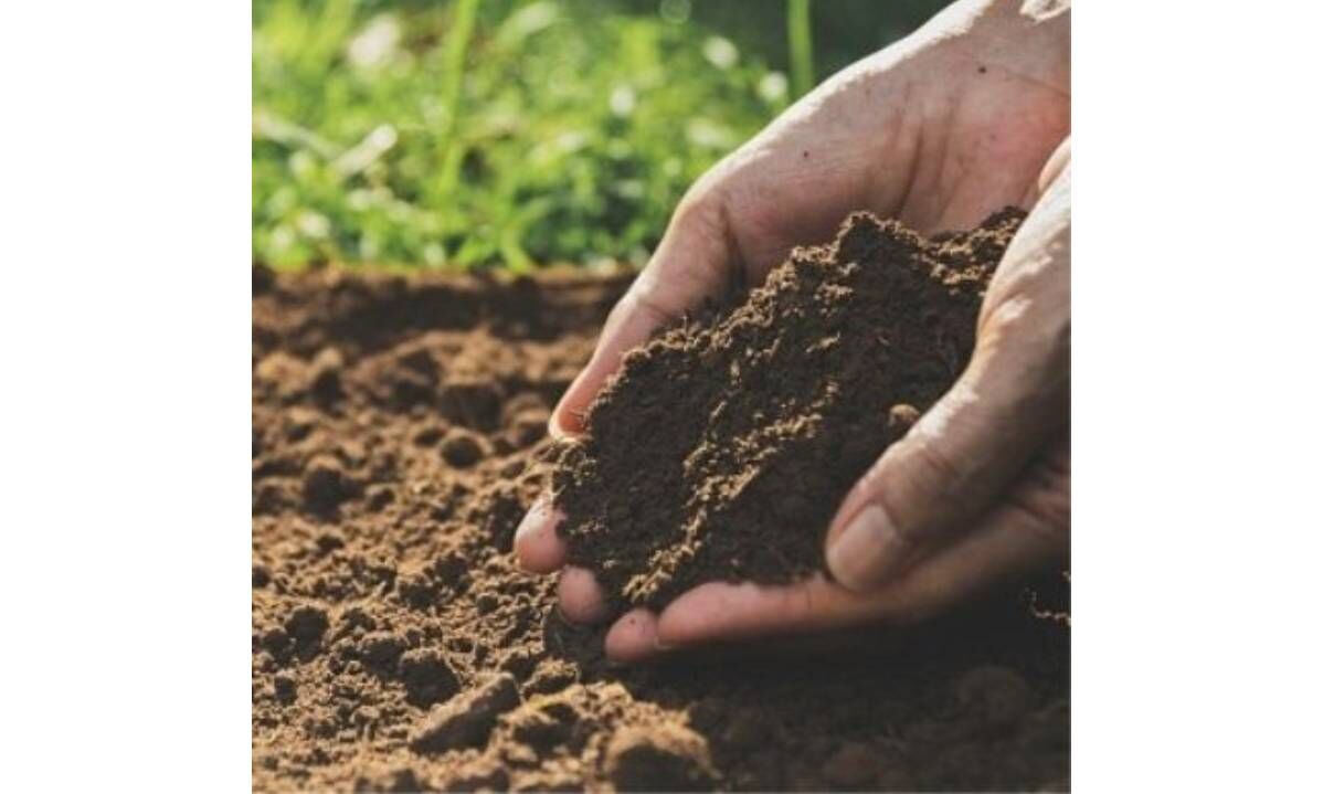 Enriching farmland soil can help prevent childhood stunting