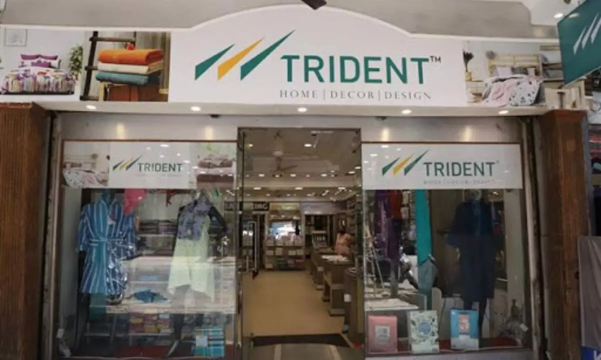 Trident Ltd