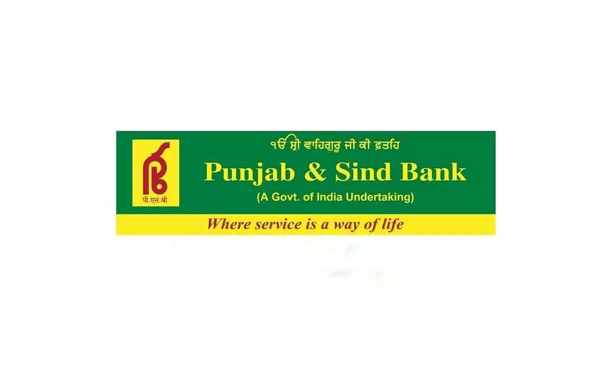 Punjab & Sind Bank looks to raise Rs 250 cr