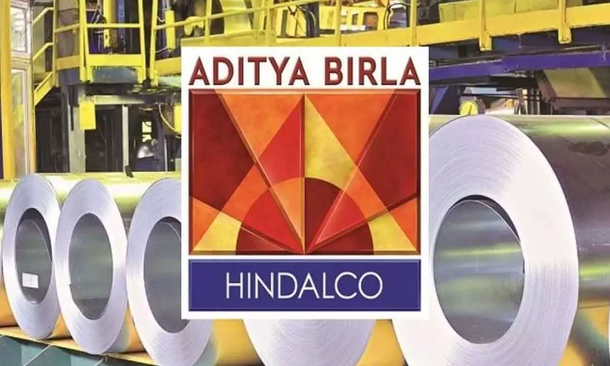 Ayana Renewable signs PPA with Hindalco