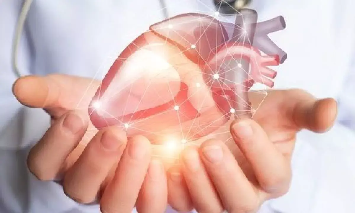 Processed, packaged foods raise risk of heart diseases