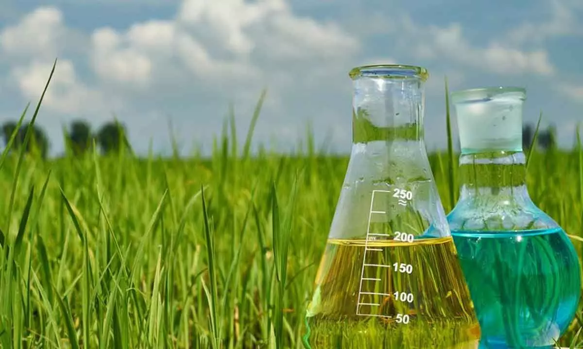 Indian agro-chemical industry can grow over 9%: Niti Aayog