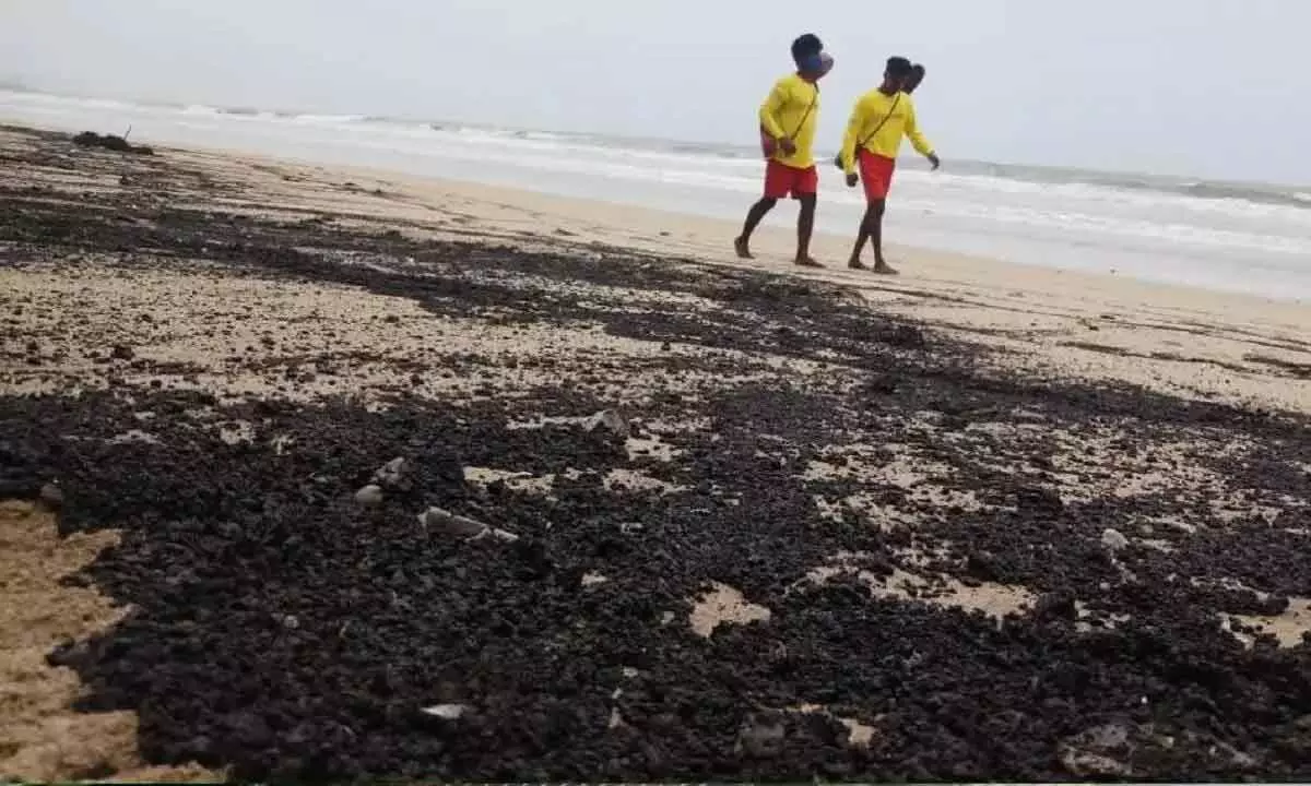 Minor oil spill near Pirwadi beach