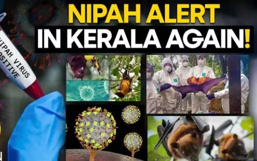 Kerala Government Designates Containment Zones Following Nipah Virus Fatalities