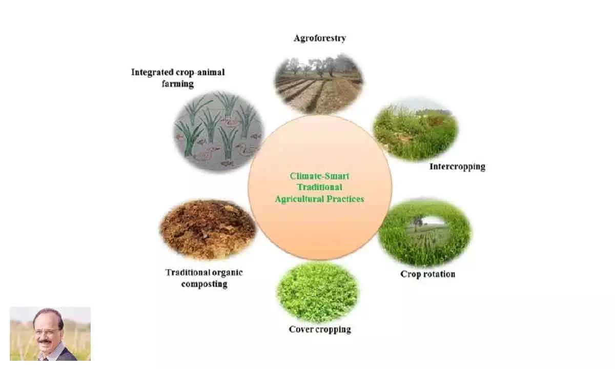 Like G-20 nations, swear by proven traditional agri practices and evolve a new resilient pathway