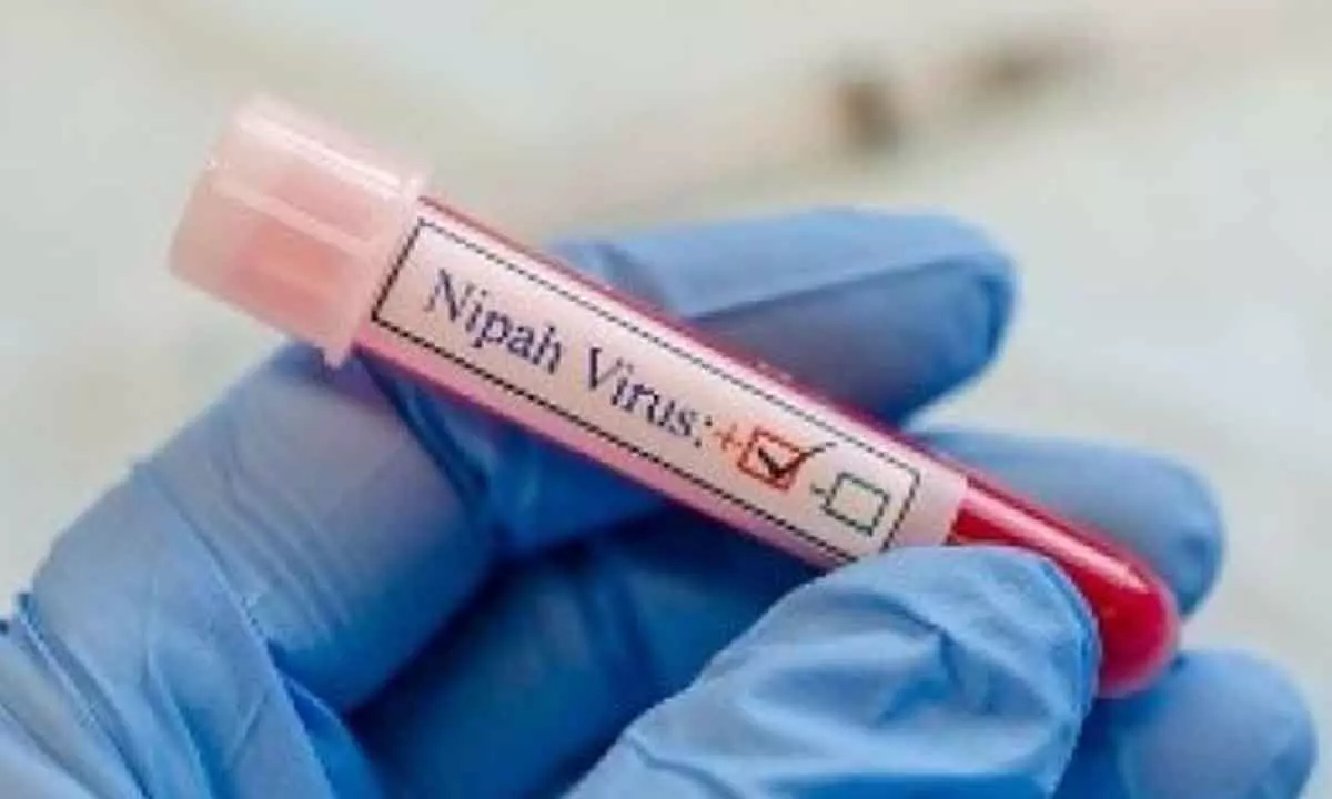 The resurgence of Nipah virus in Kerala