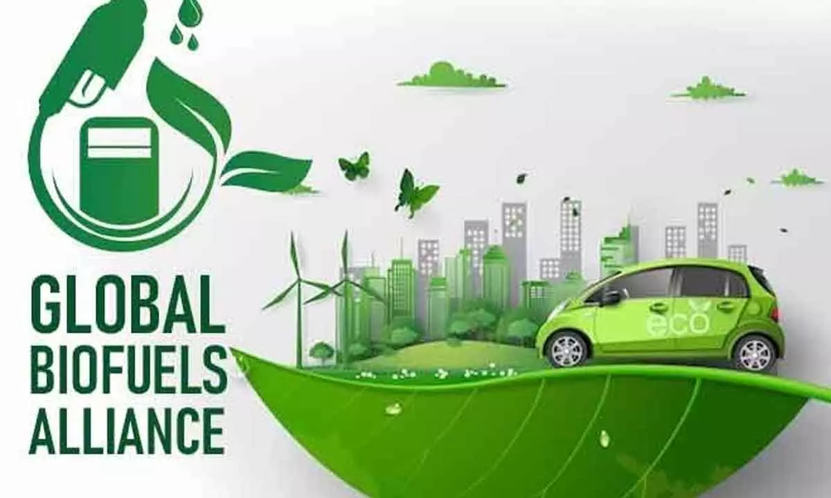 Global Biofuels Alliance can help reduce carbon emissions