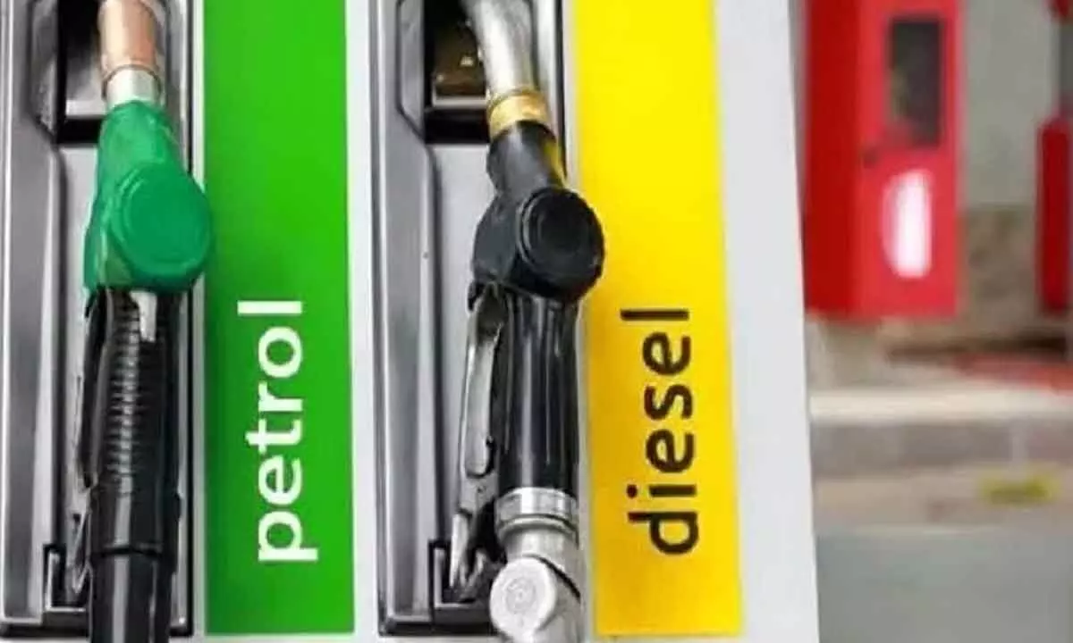 Diesel sales fall, petrol sales up marginally