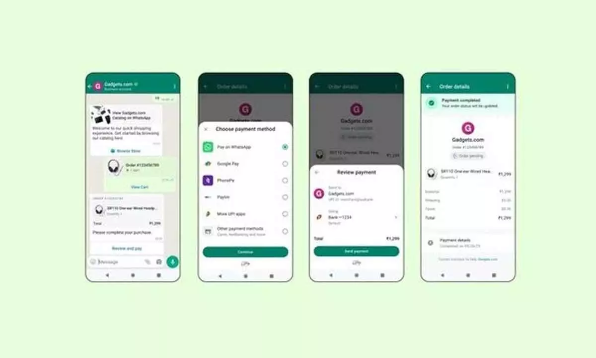 WhatsApp allows users pay with variety of payment options