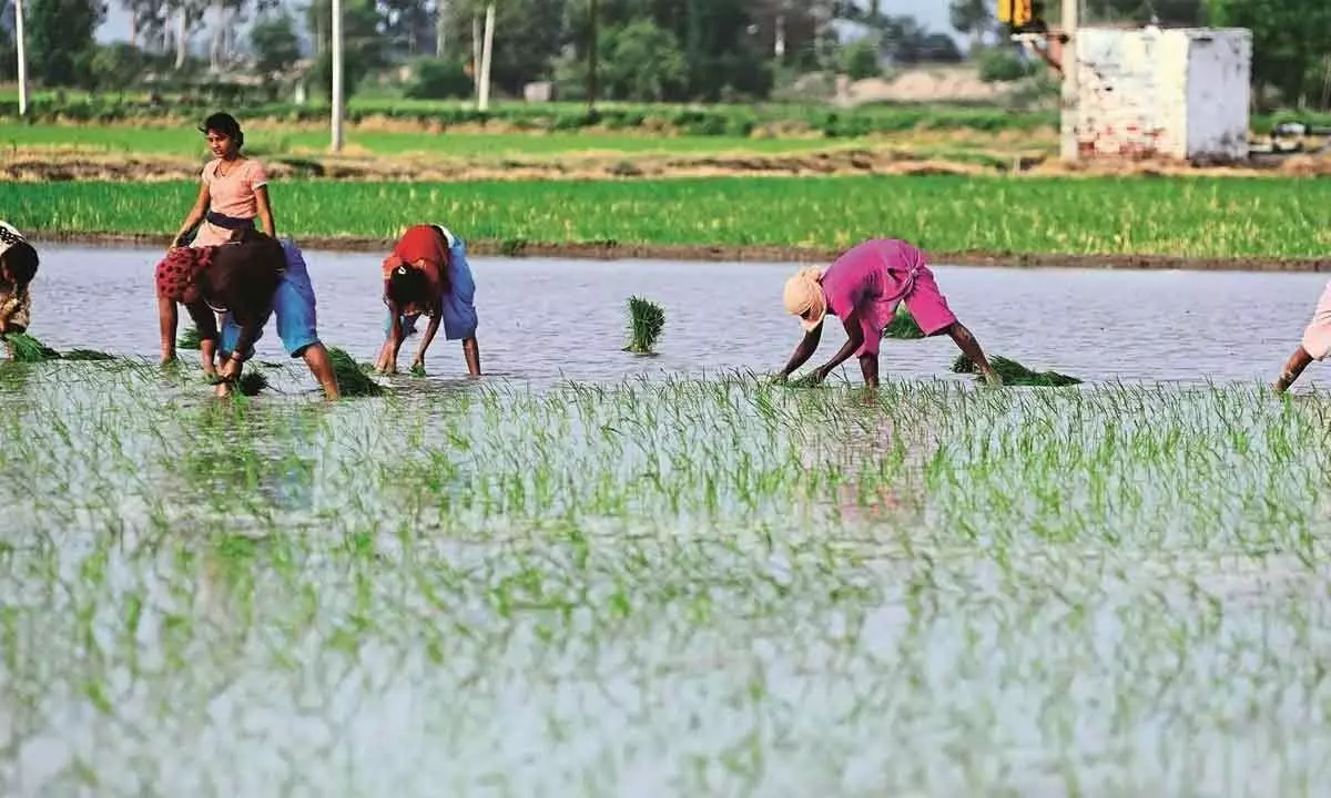 Retail inflation for farm, rural workers eases