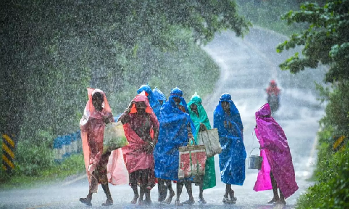 Monsoon rainfall deficit at 6% below normal