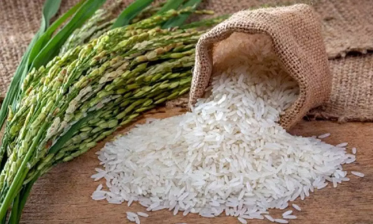 Centre may lower basmati rice export price by $300 per tonne