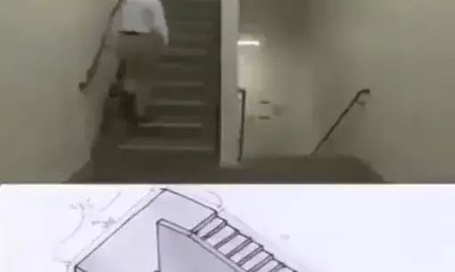 Scientific Community baffled! Watch X Video on Twitter!