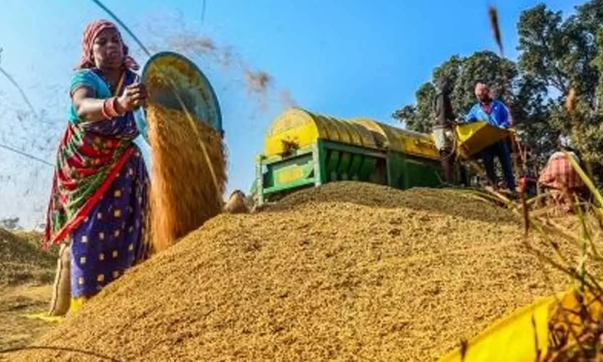 UP begins paddy procurement