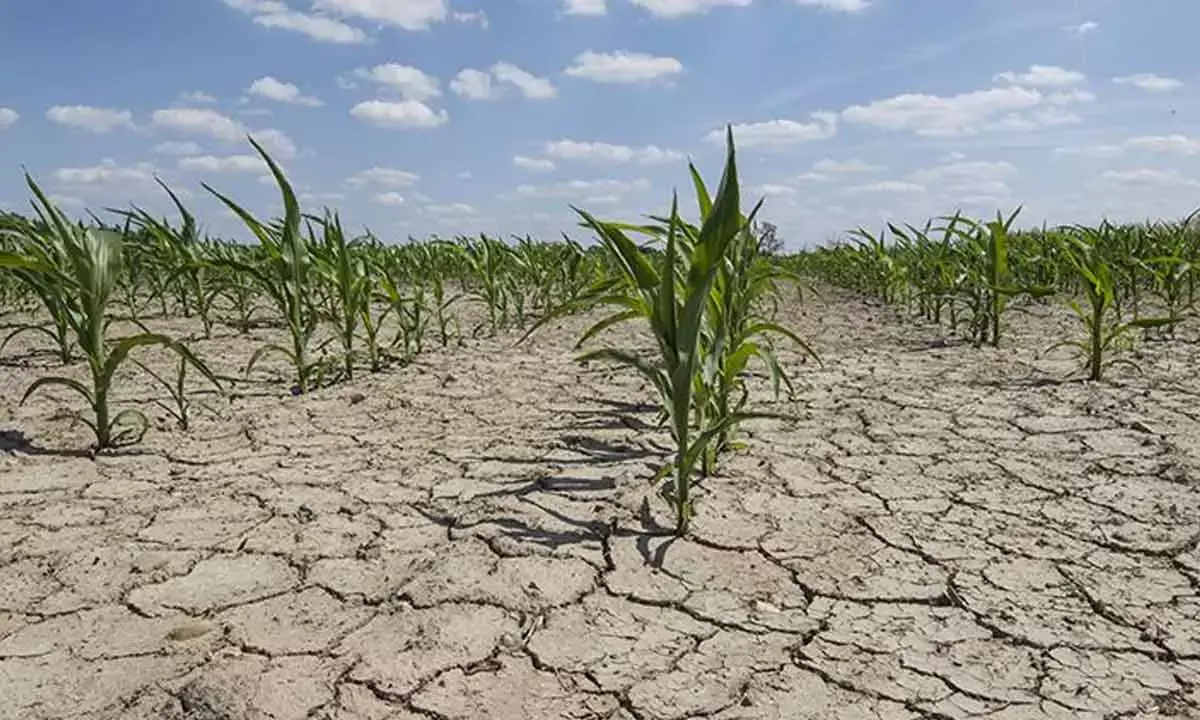 Have some economists underestimated financial hit from climate change?