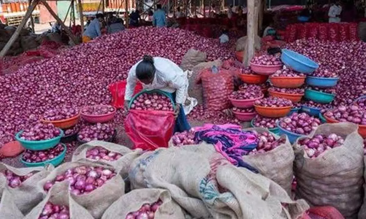 Onion auctions resume in Nashik markets
