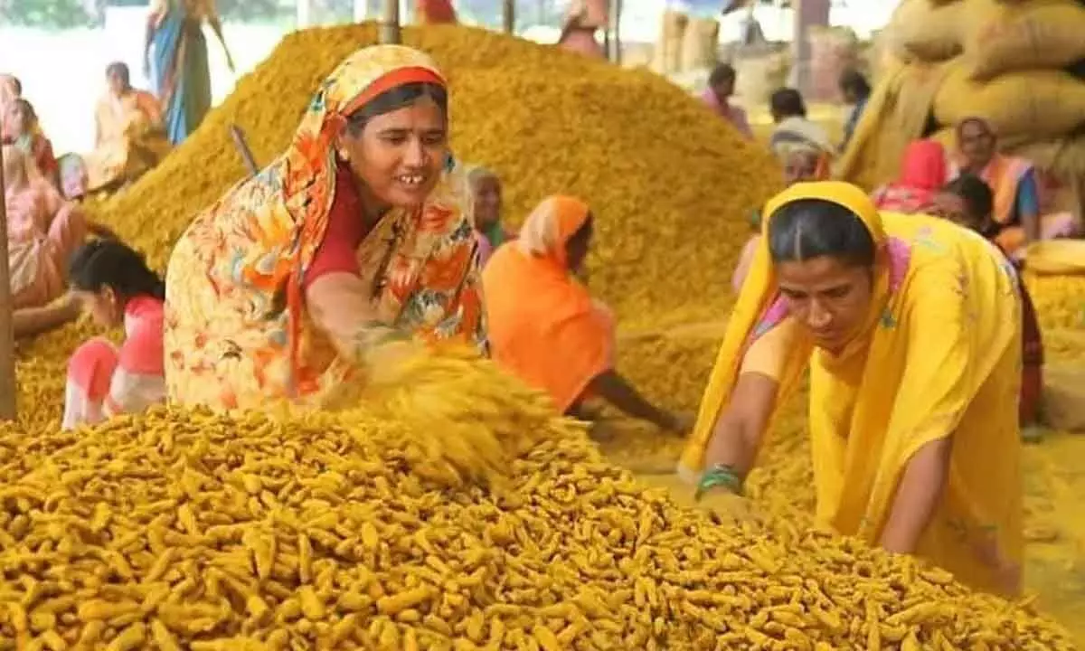 Centre sets up turmeric board, eyes $1-bn exports