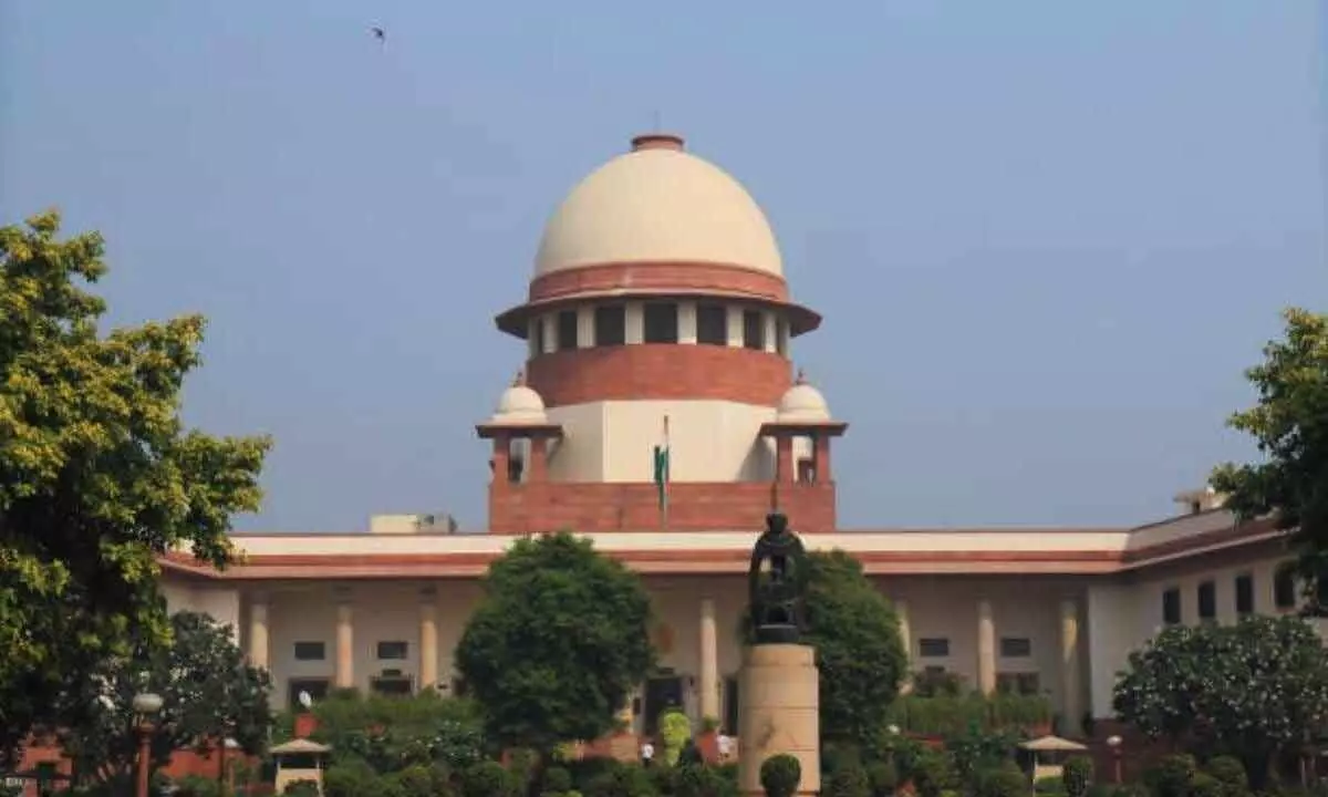 SC to hear Google plea against NCLAT order