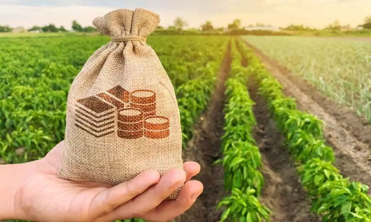 Farm income rising on tech-led value addition