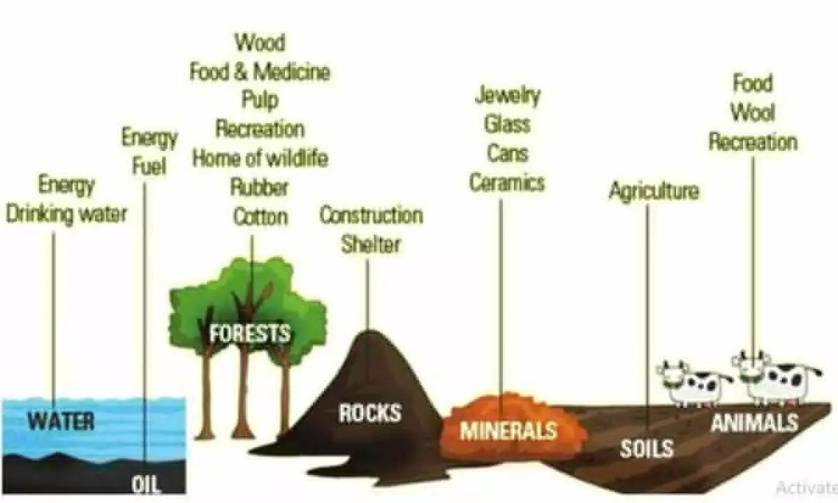 Stop plundering natural resources and reap benefits of infinite economic growth