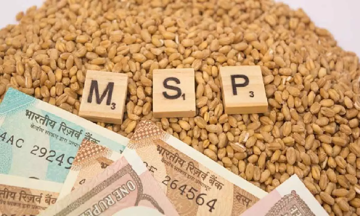 Govt hikes wheat MSP by Rs 150 to Rs 2,275/quintal