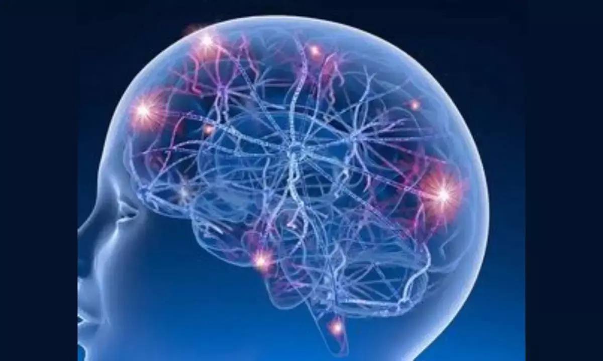 Scientists link sleep, stress with epileptic seizures