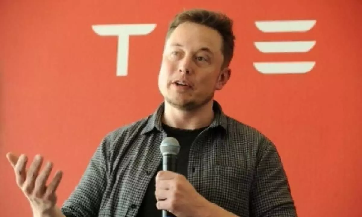 Those working from home are detached from reality: Elon Musk