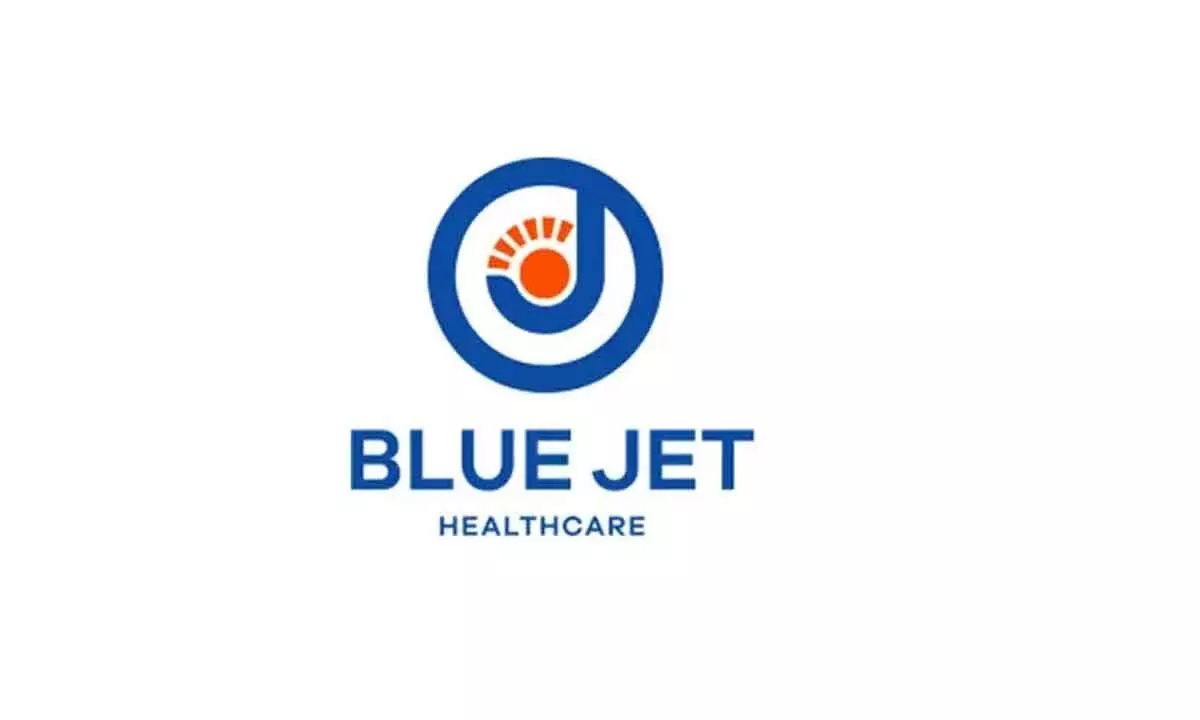 Blue Jet Healthcare sets price band at Rs 329-346/ share