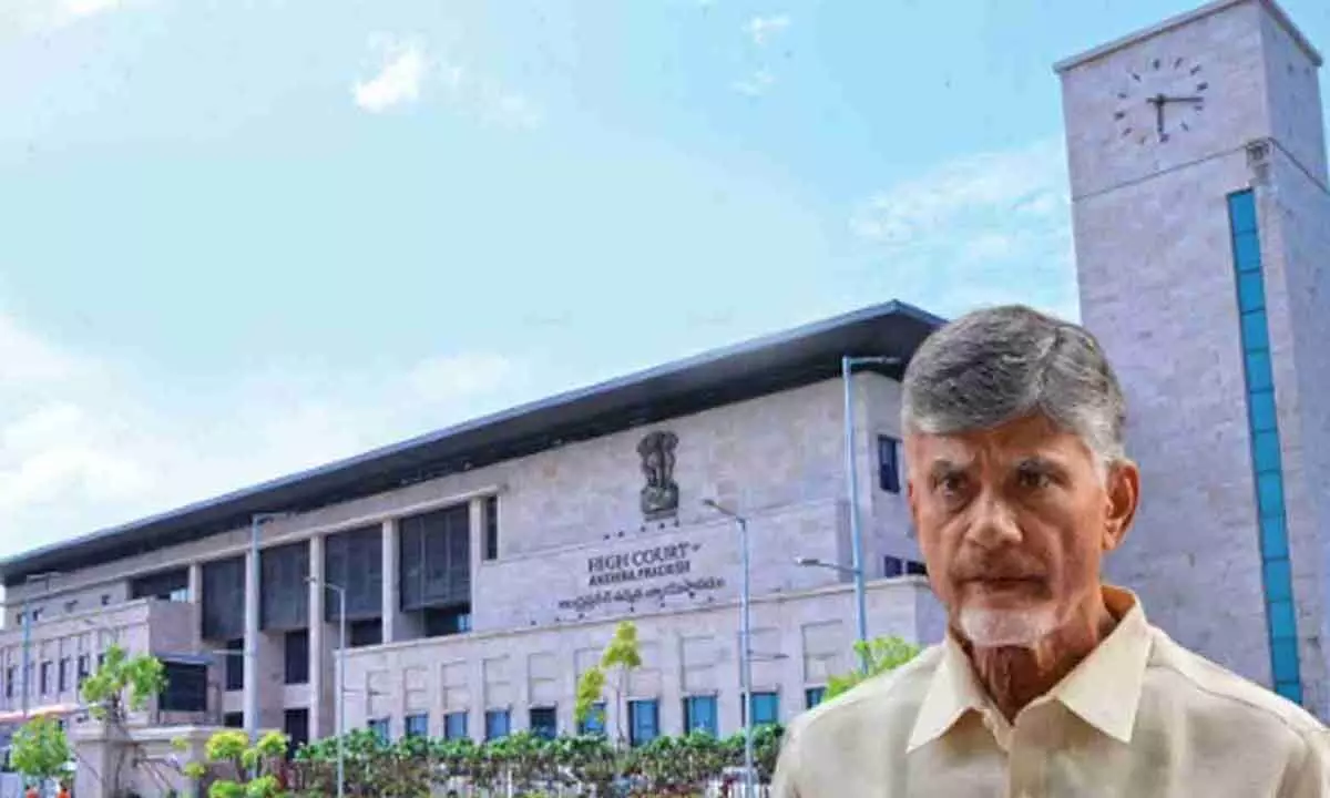 AP HC declines interim bail to Naidu