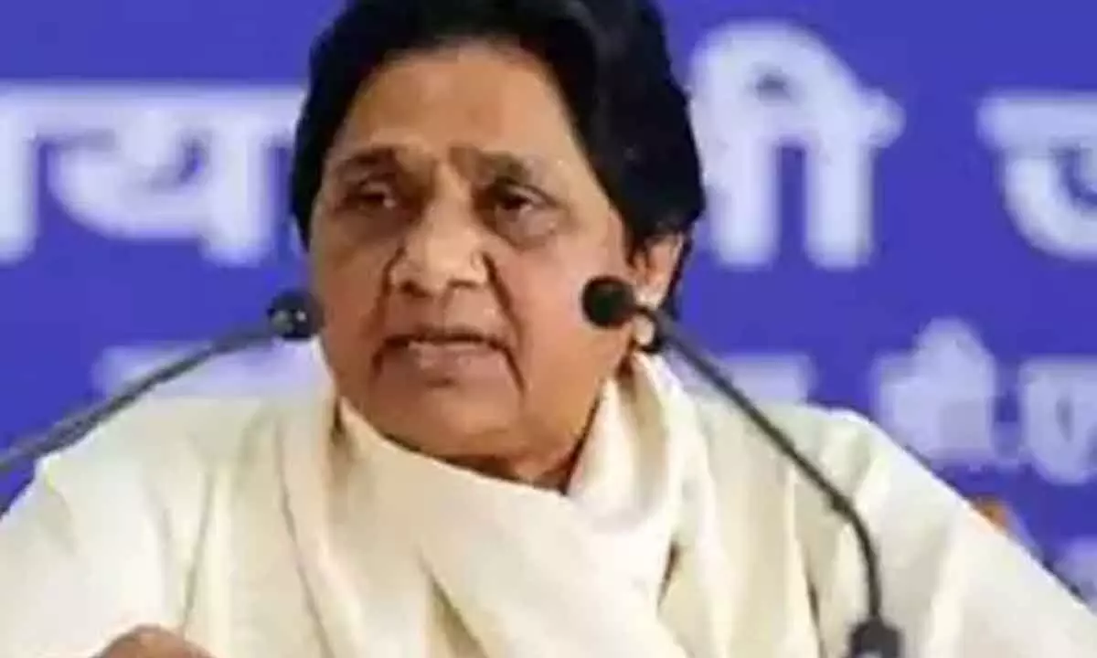 BSP to contest polls in 4 states