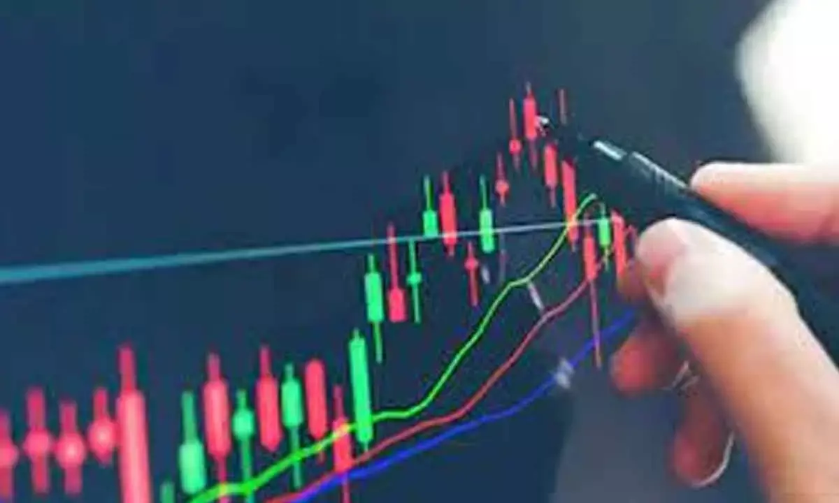 Options data holds wide-range trading