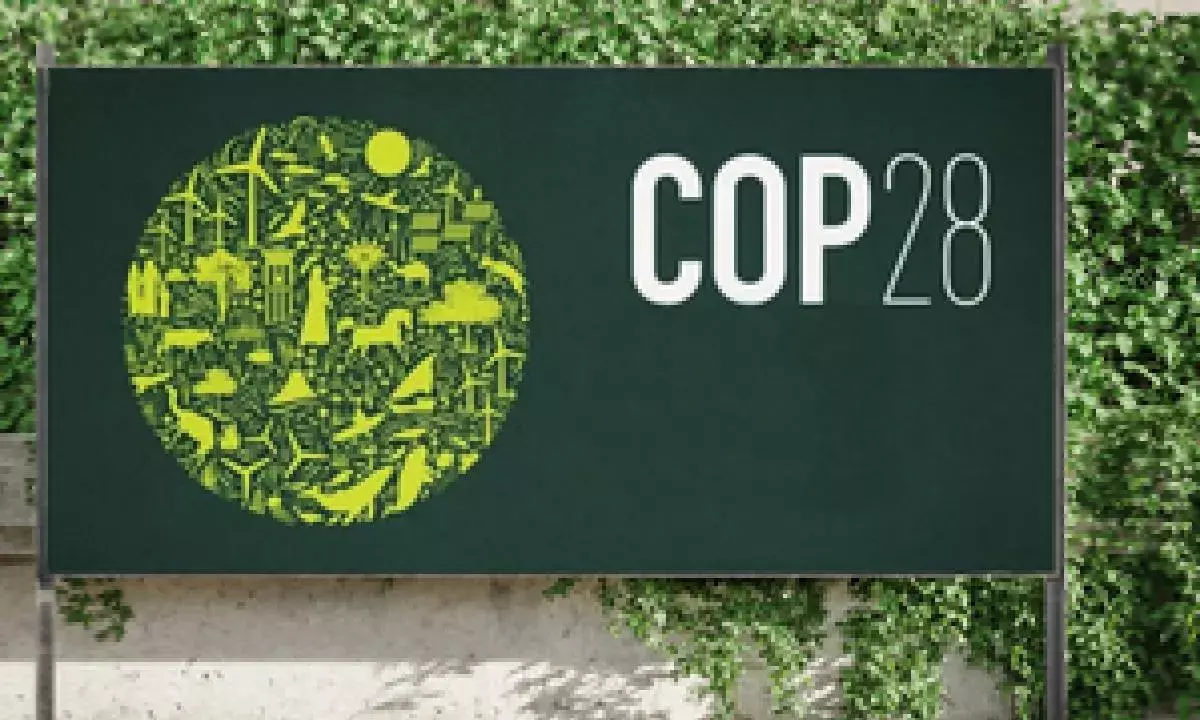 COP28: 131 global cos call on world leaders to phase out fossil fuels