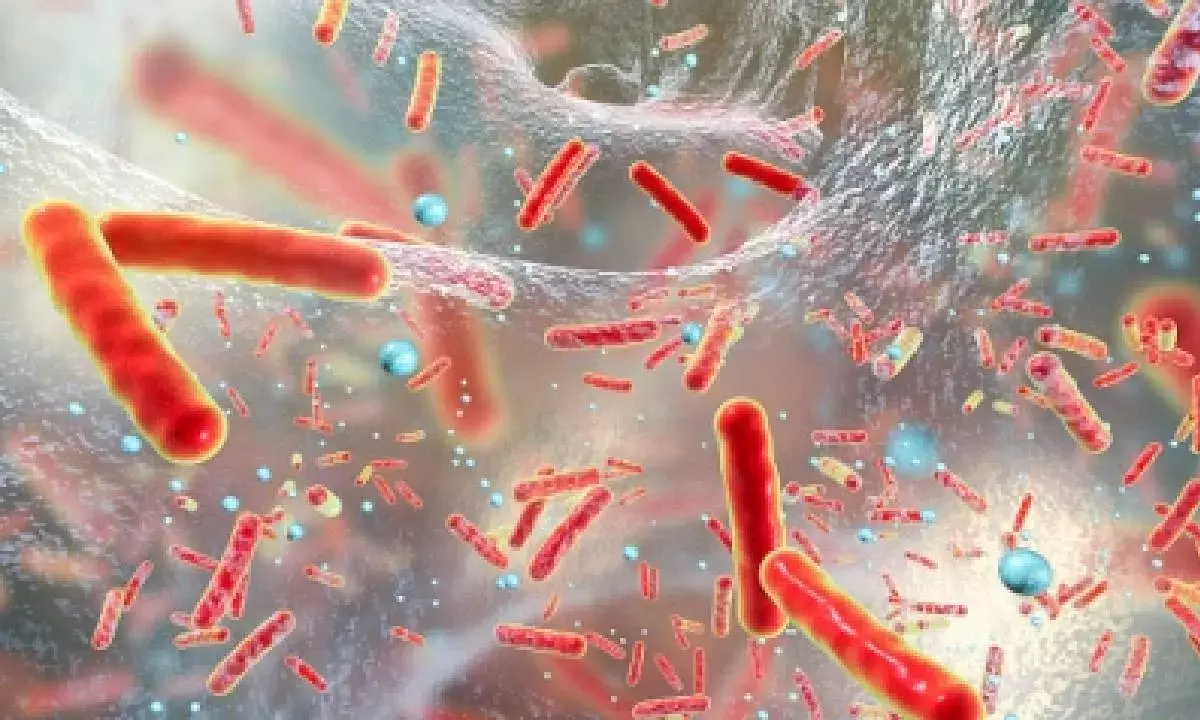 Genomic surveillance tech key to curb deadly ‘superbug’ spread: Study