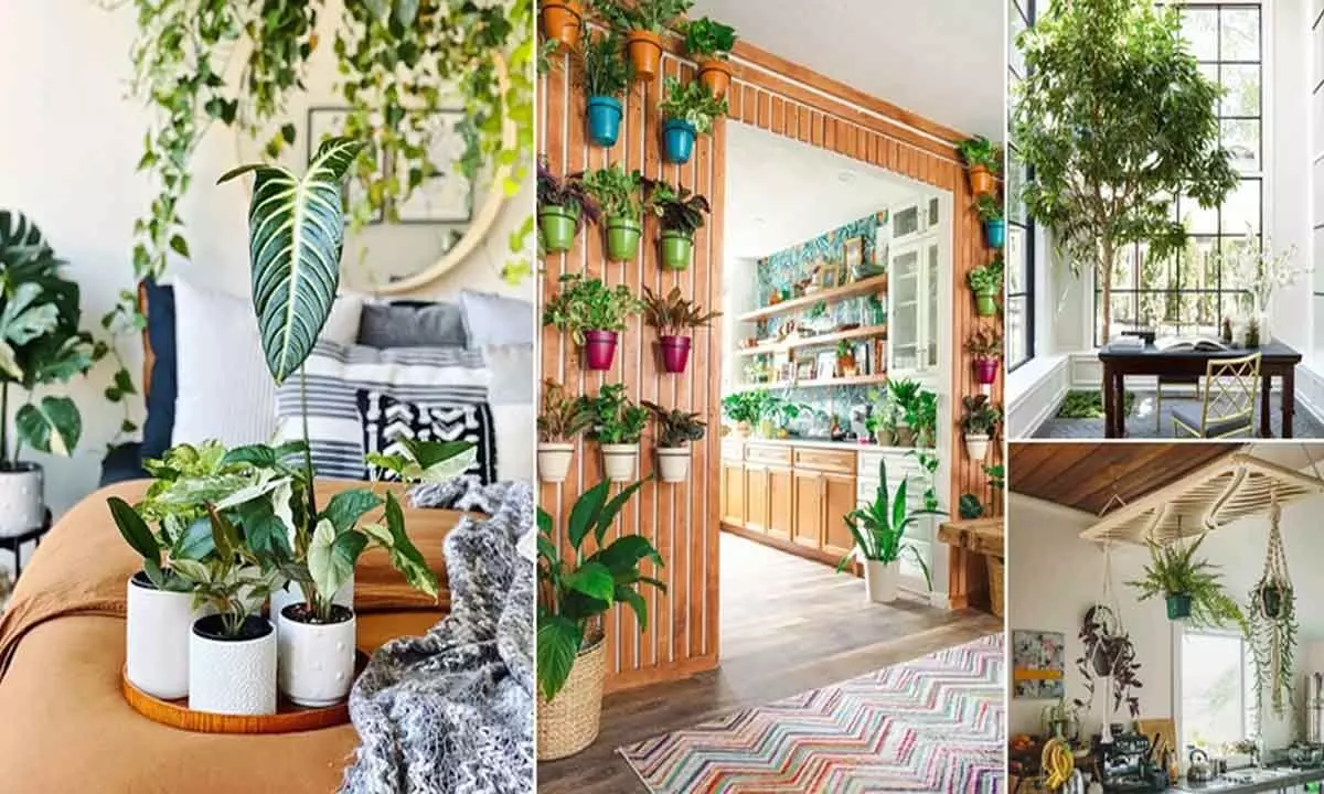 Tips for creating a green oasis in your home