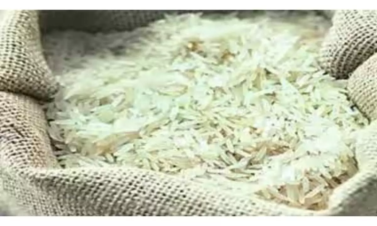 MEP slashing on basmati rice relief to exporters: Punjab MP