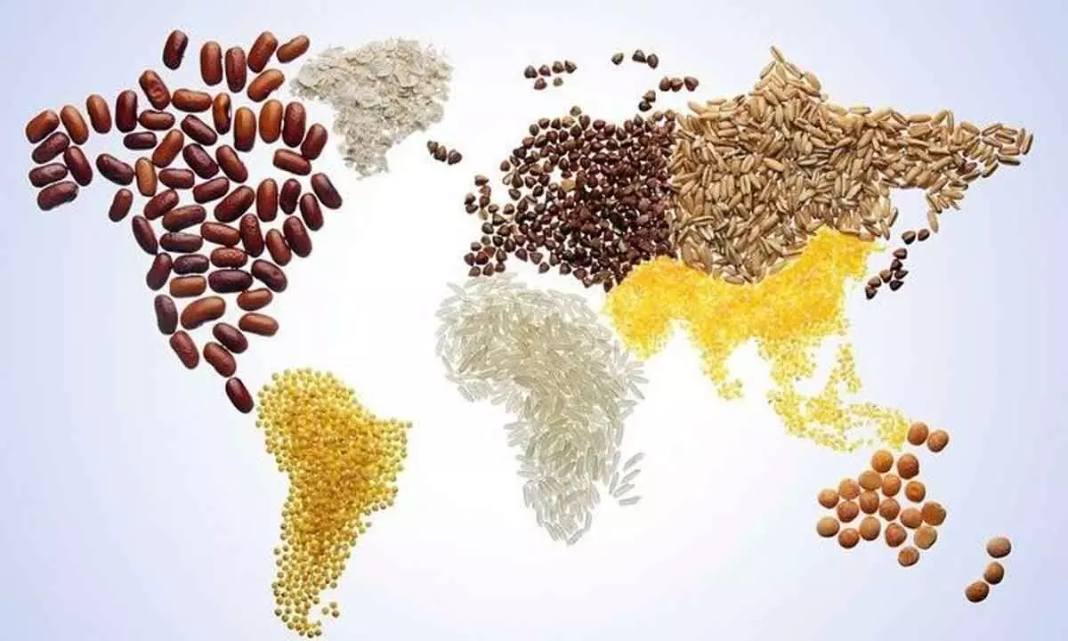 India’s sustainable food growth remains irresistibly impactful