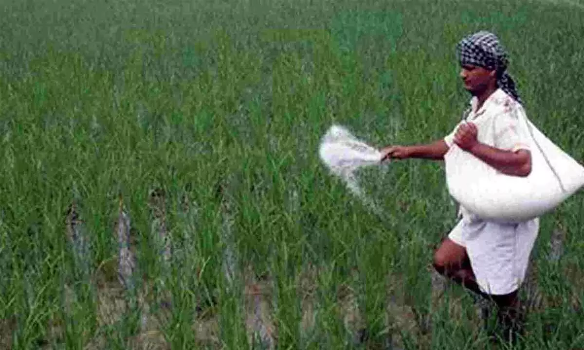 Nod for `22,303-cr subsidy on P&K fertilisers