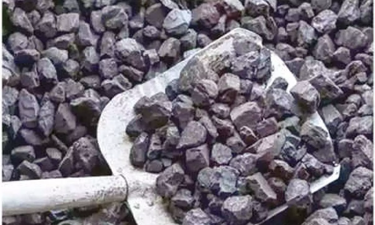 AIPEF demands coal import extension order withdrawal