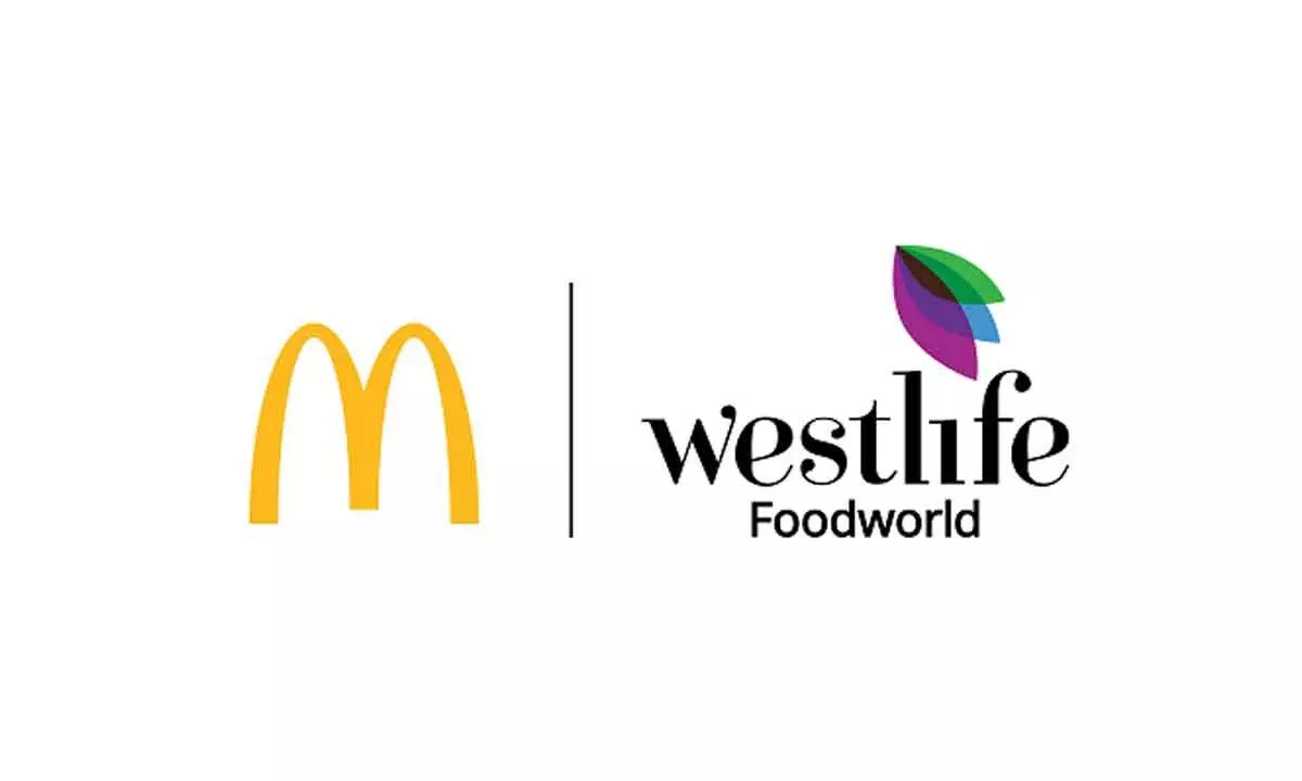 Westlife Foodworld plunges over 6%
