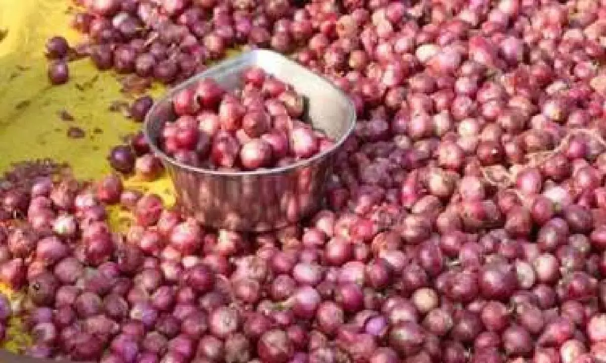 Retail onion price up 57%