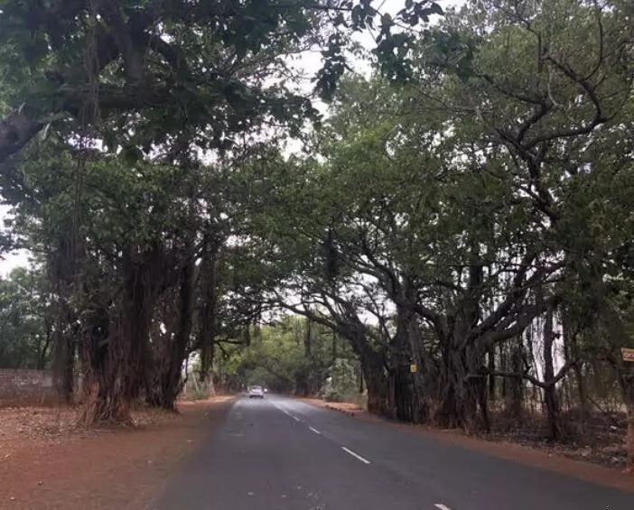 Is Chevella The Best Place For Farmland Investment In Hyderabad? Is Chevella The Best Place For Farmland Investment In Hyderabad?