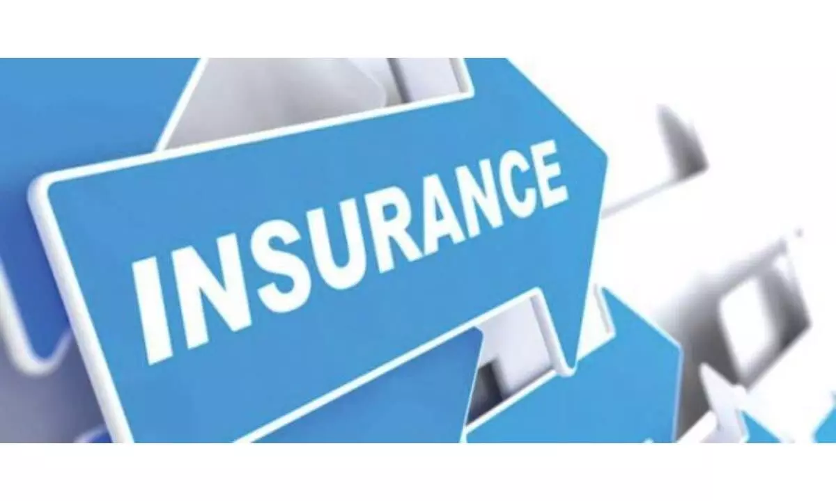 Insurers to provide details of basic features of policy