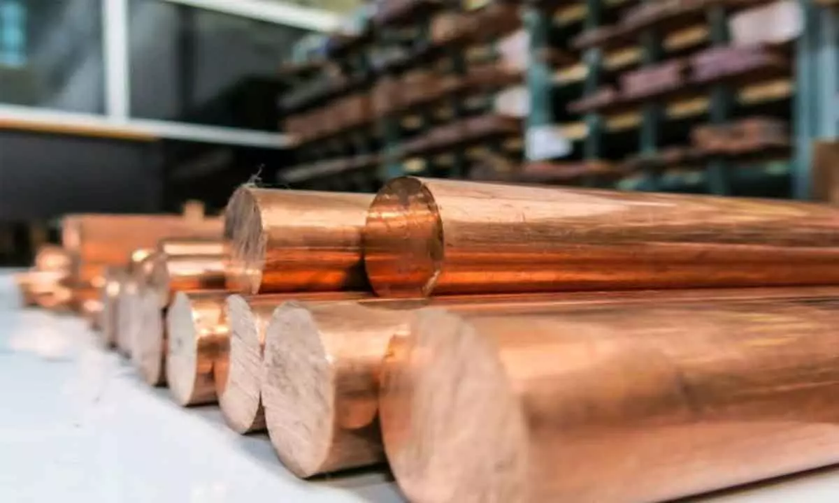 Renewed spot demand propels copper futures up