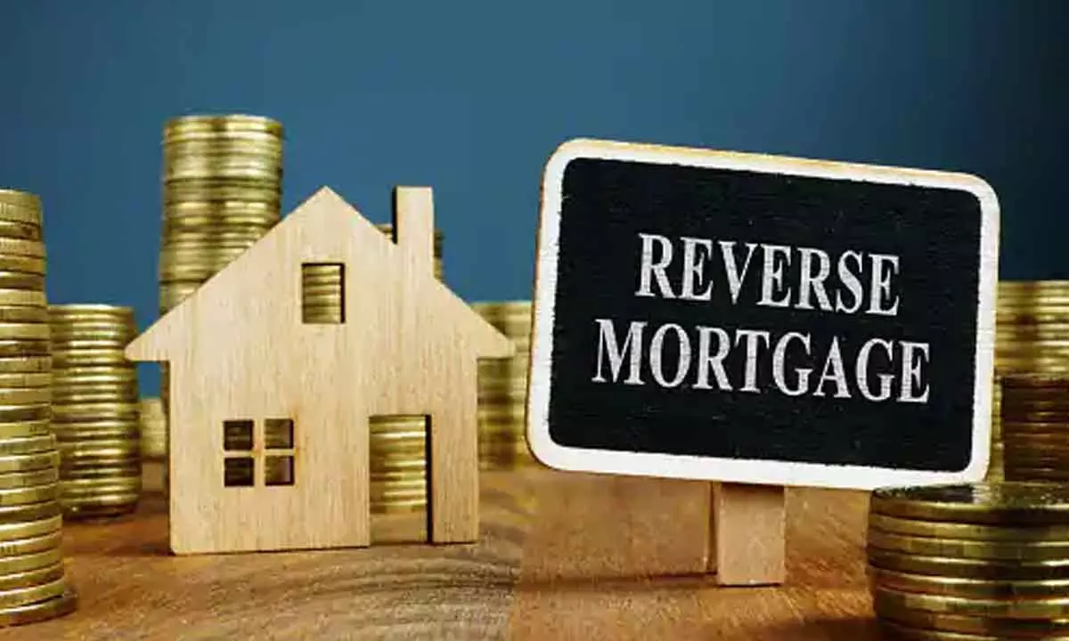 Reverse annuity mortgage: Hearing from horses mouth