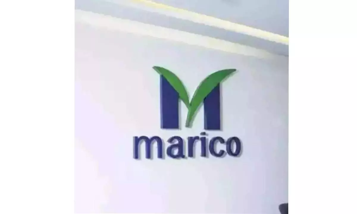 Marico’s revenue growth to come back in H2