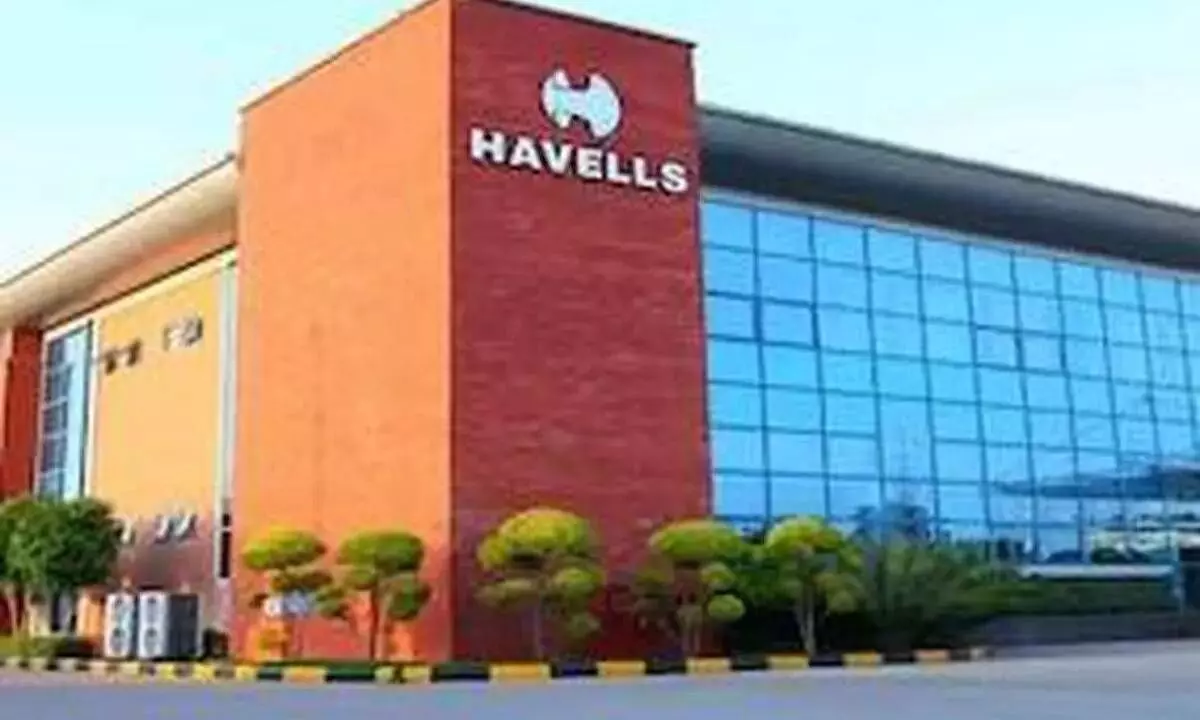 DRI conducts search operation at Havells India