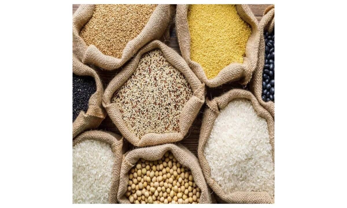 India clocks record foodgrain production at 3,323 lakh metric tonnes in 202324