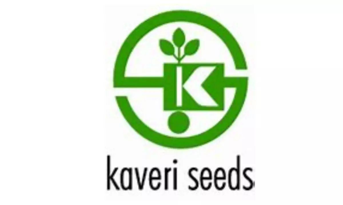 Kaveri Seed PAT up 3x