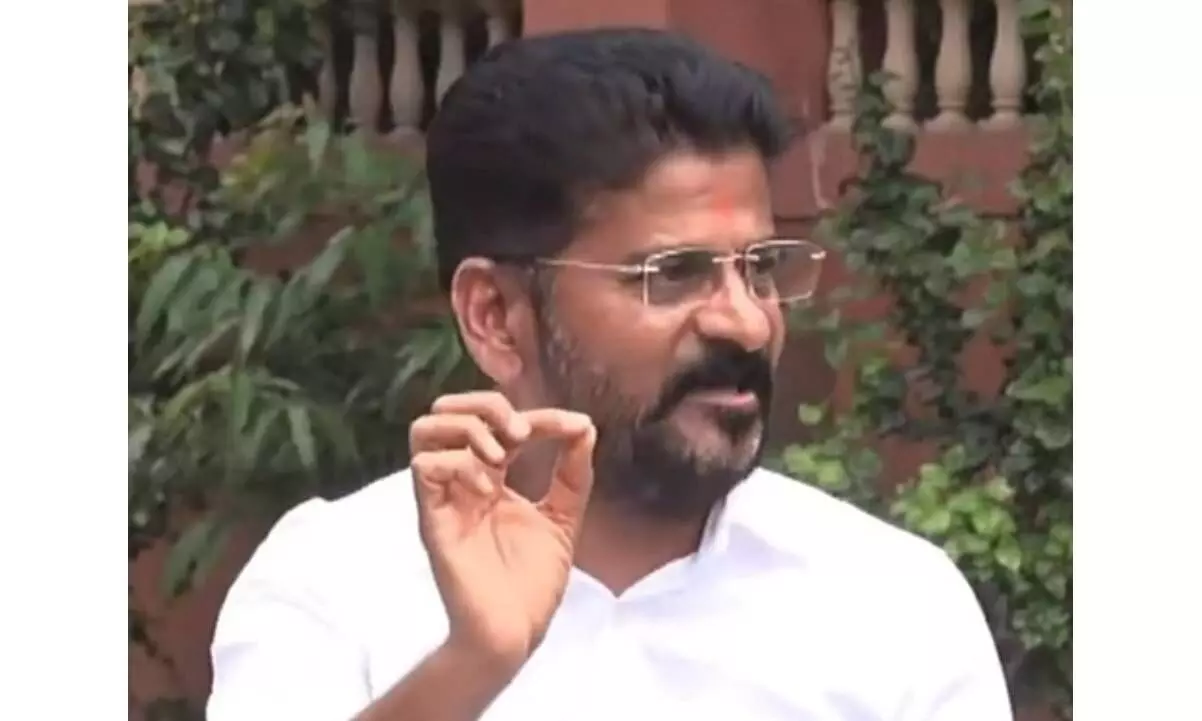 Telangana polls: Revanth Reddy promises 24-hour free power supply to farmers